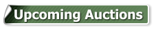 Upcoming Auctions